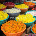 Shop fresh, high-quality loose flowers at affordable prices in Hyderabad